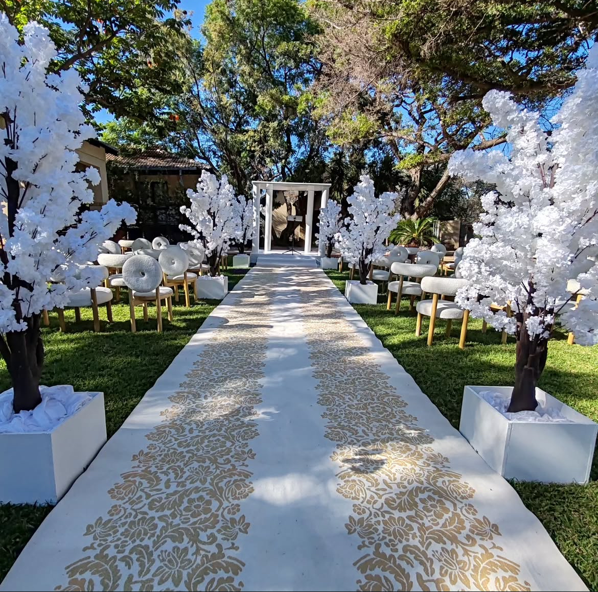 Elegant outdoor wedding aisle framed by white blossom trees