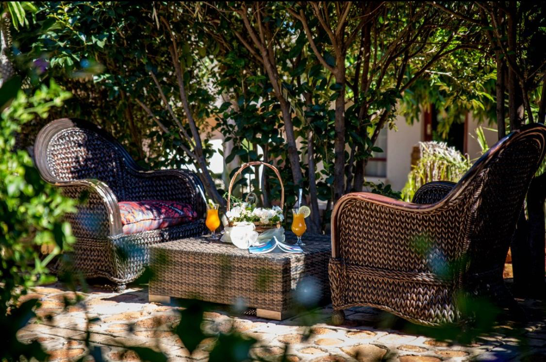 Wicker patio chairs and drinks beneath leafy trees