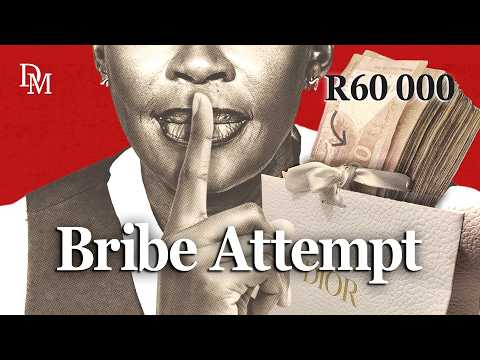 EXCLUSIVE: Alleged attempt to bribe Daily Maverick journalist caught on camera