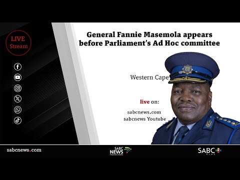 General Fannie Masemola appears before Parliament&#039;s ad hoc committee-Day 2