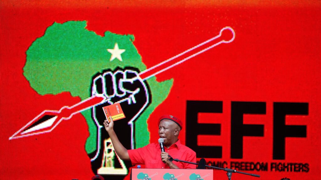 Eff Julius Malema | Virgo