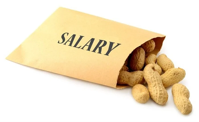 Salary Peanuts | Virgo