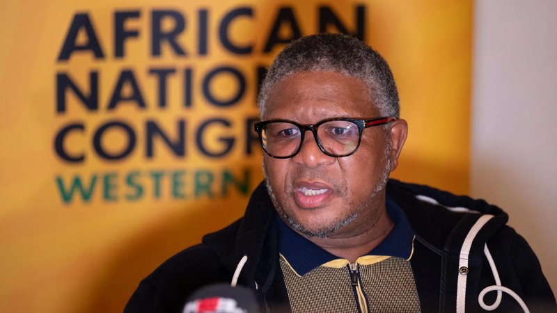 Fikile Mbalula