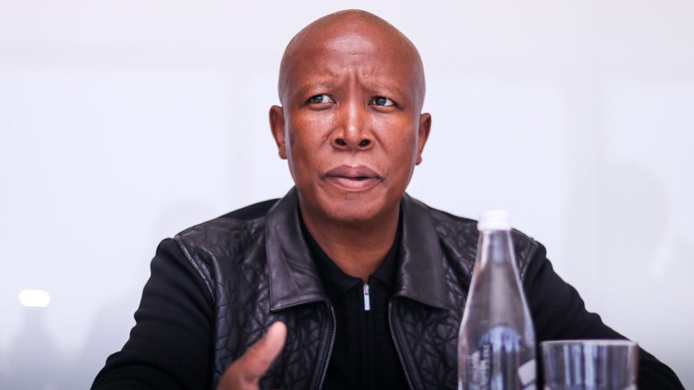 Julius Malema
