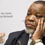 Gwede Mantashe