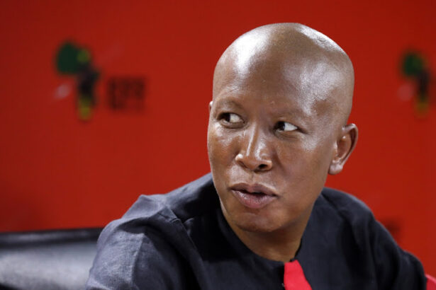 Julius Malema