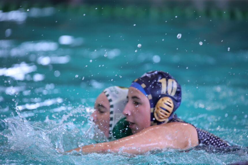 Kingsmead College vs Reddam House Bedfordview in the Prestige Cup