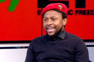 Mbuyiseni Ndlozi