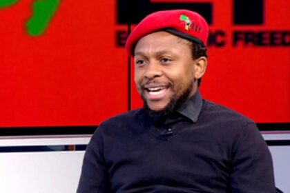 Mbuyiseni Ndlozi