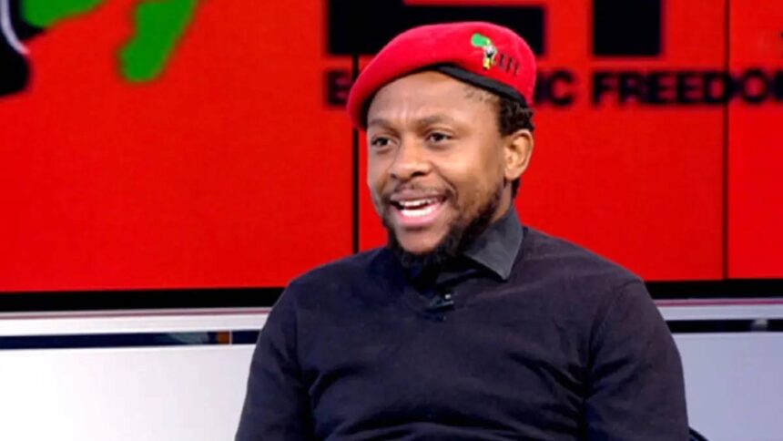 Mbuyiseni Ndlozi