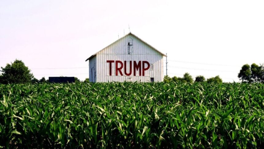 South African White Farmers