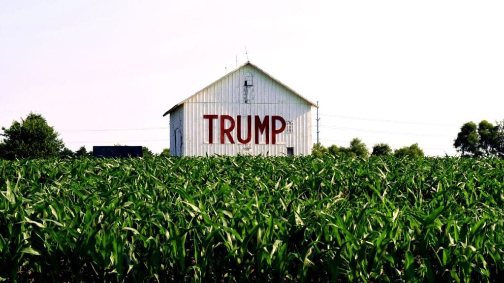 South African White Farmers