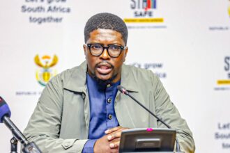 Deputy transport Minister Mkhuleko Hlengwa