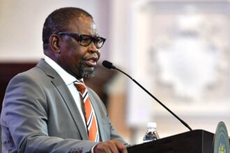 Finance Minister Enoch Godongwana