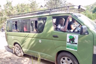 Gorilland Travel Care