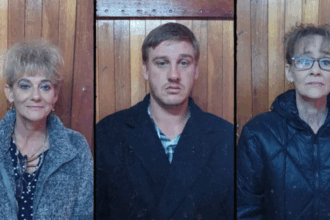 Three individuals against wooden background