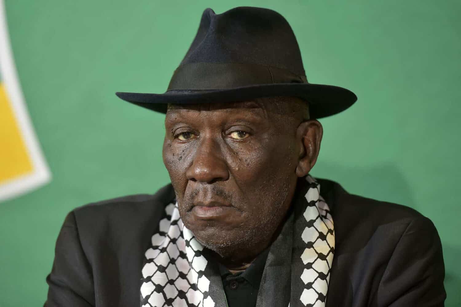Person in black hat and patterned scarf, green background.
