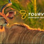 Kudu in sunset, Tourvest Destination Management logo visible.