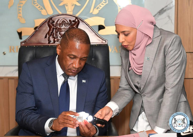 Botswana sees its golden passport programme as a way to secure long-term financial stability amid a market slump.