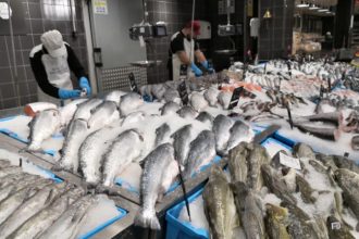 Fish Market at Carrefour on March 29, 2025 in Madrid, Spain. [Photo by Cristina Arias/Cover/Getty Images] ©provided by Business Insider Africa