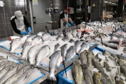 Fish Market at Carrefour on March 29, 2025 in Madrid, Spain. [Photo by Cristina Arias/Cover/Getty Images] ©provided by Business Insider Africa
