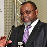 gwede mantashe