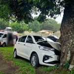 Scholar transport vehicle crashed into a tree near Sarnia Primary School in Pinetown