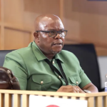 General Lesetja Senona