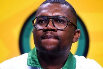 Malatji slams DA as ‘festival of corrupt white males’ led by their grandmother Zille