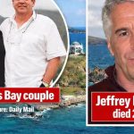 'We want that chapter behind us' — SA couple who worked on Epstein's island