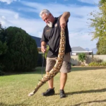 Worcester snake catcher Andre du Preez