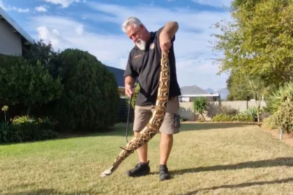 Worcester snake catcher Andre du Preez