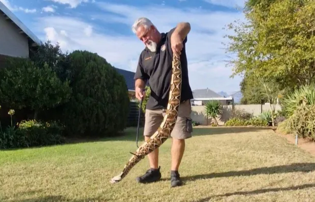 Worcester snake catcher Andre du Preez