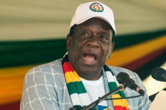 Zimbabwe’s president defends land seizures from whites and touches on the idea of superiority © Business Insider Africa