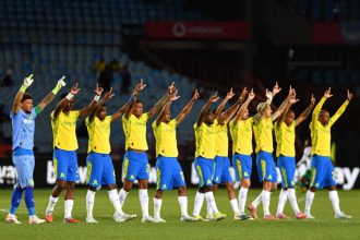 mamelodi sundowns