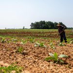 north west department of agriculture