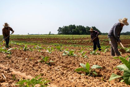 north west department of agriculture