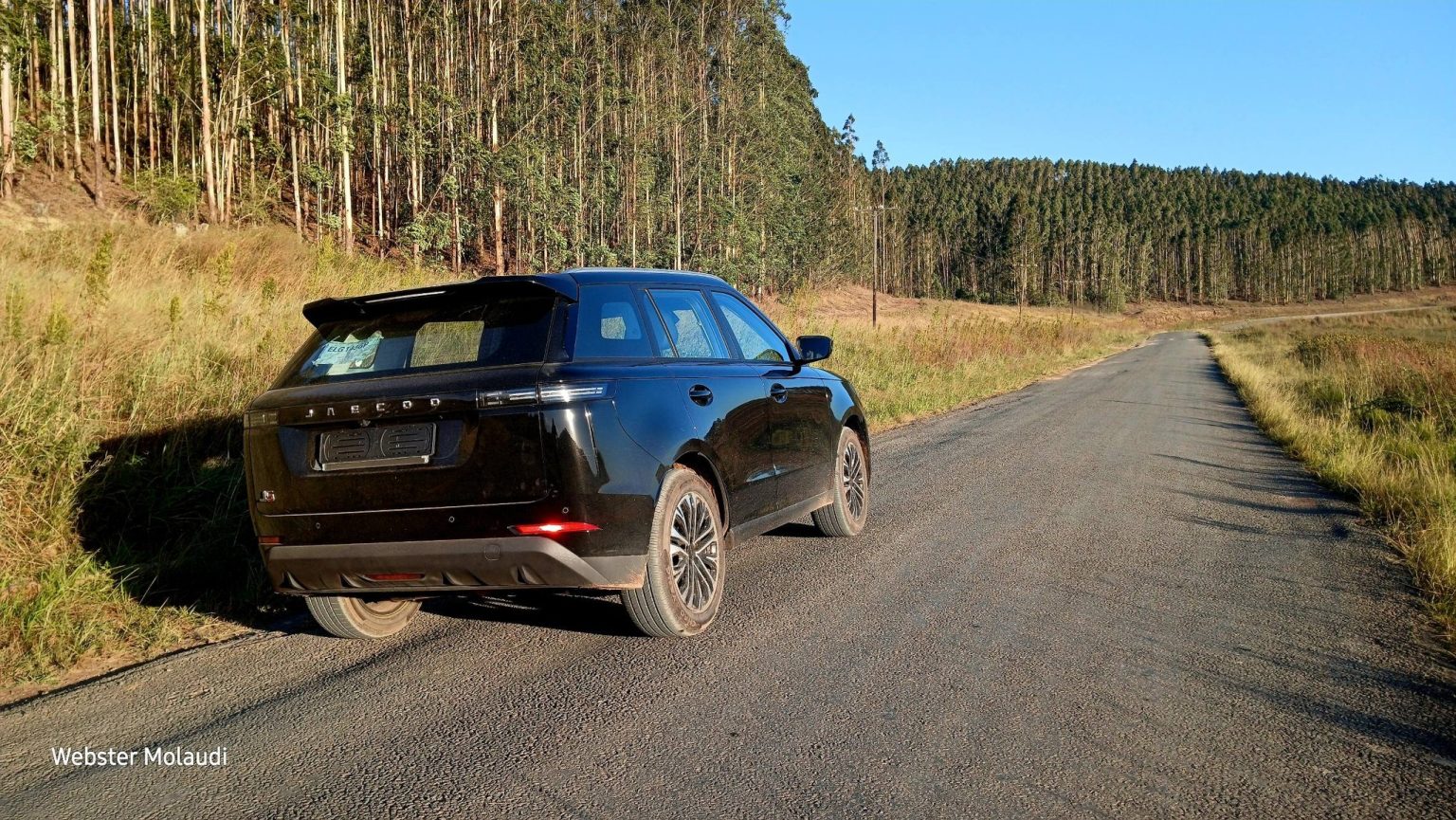 Black SUV parked on rural forest road