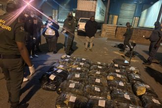 Officials inspect seized packages at warehouse at night