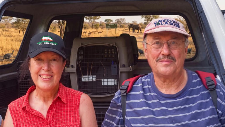 Couple on safari with elephants in background