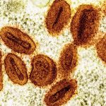 Microscopic view of oval-shaped virus particles
