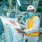 Factory workers inspecting large flour bag in plant