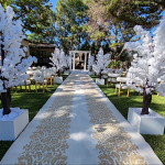 Elegant outdoor wedding aisle framed by white blossom trees