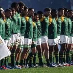 the springboks