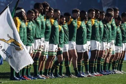 the springboks