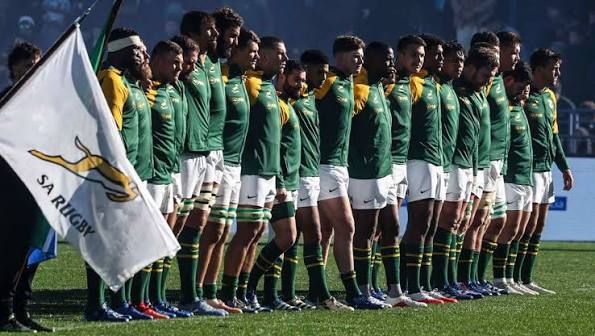 the springboks