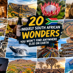 20 Uniquely South African Wonders You Wont Find Anywhere Else on Earth