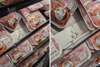 2026 09 09 woolworths store under investigation after maggots discovery video.jpg.optimal