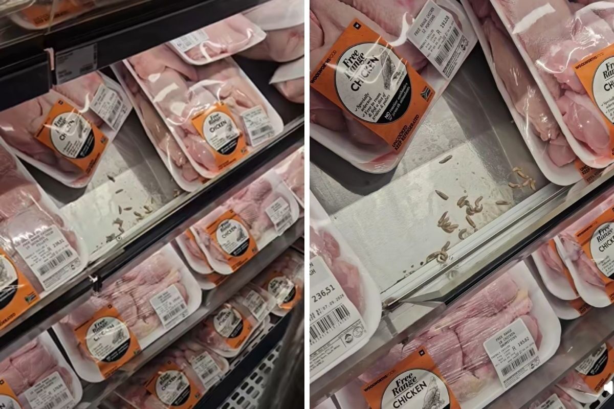 2026 09 09 woolworths store under investigation after maggots discovery video.jpg.optimal