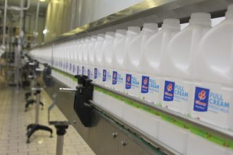 Clover full cream milk bottles on a factory conveyor belt.